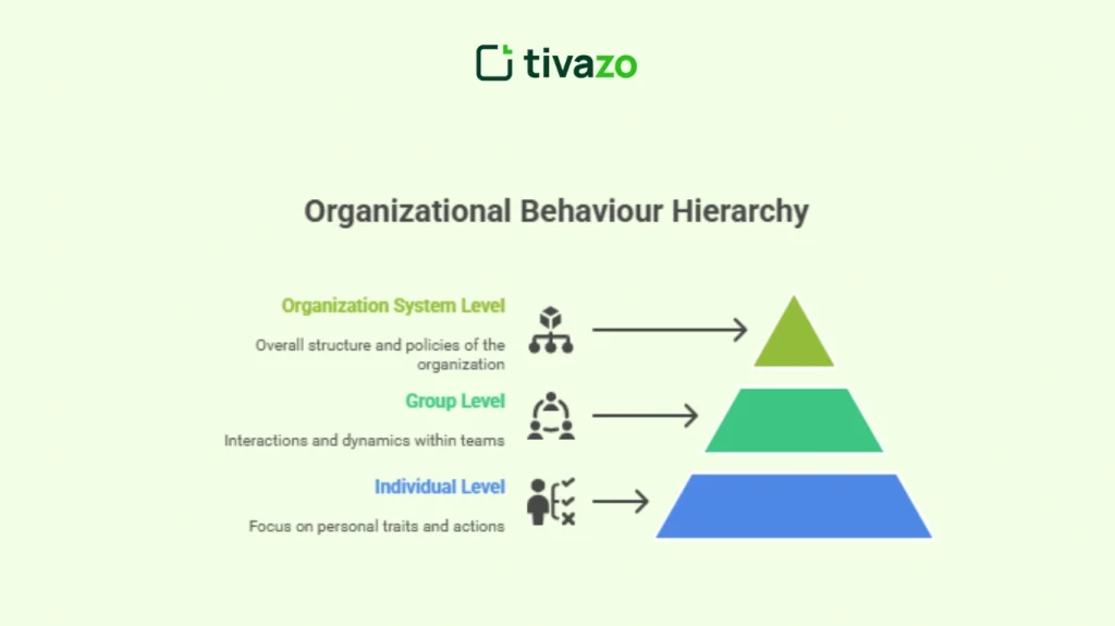 Levels of organizational behavior
