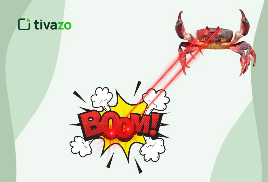 Silence Brand Meme: a picture of crab fire on box