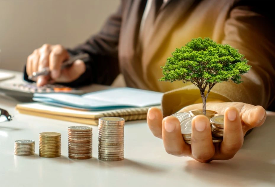 small tree in hand
to Improve Organizational Management