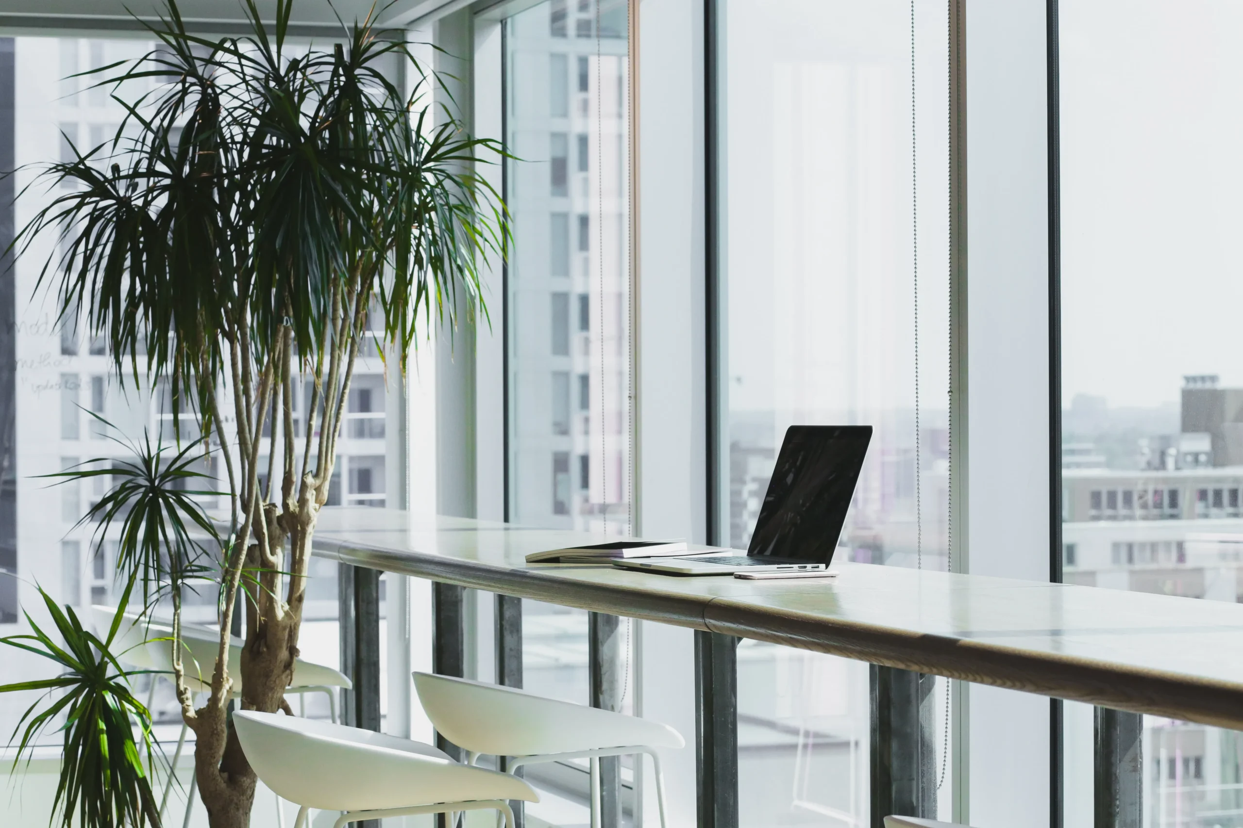 13 Creative Office Decor Ideas to Maximize Your Productivity