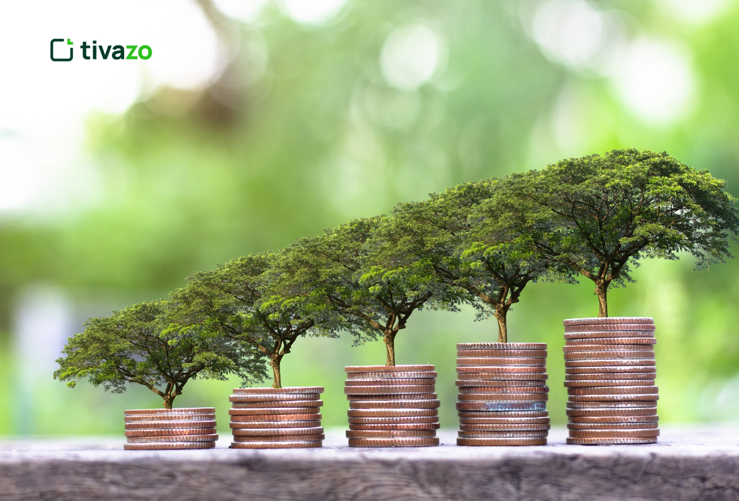 How tivazo help in sustainable economic growth of the company