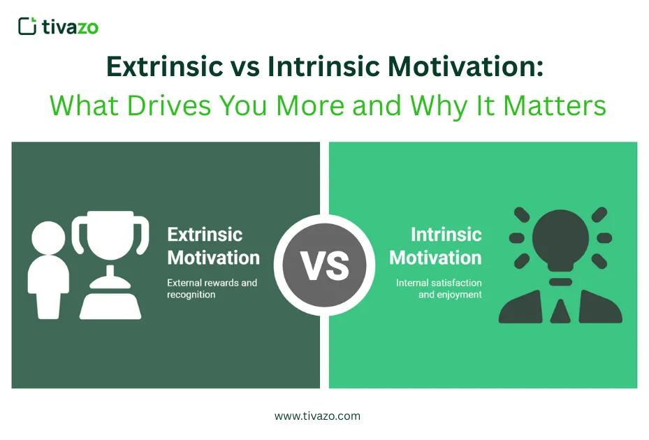 Extrinsic vs Intrinsic Motivation