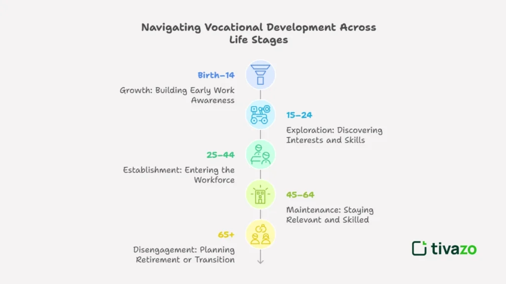 Vocational Development Stages Explained